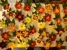 Foto: Dr. Peter Müller